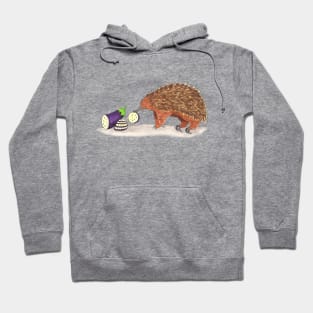 E is for Echidna Hoodie